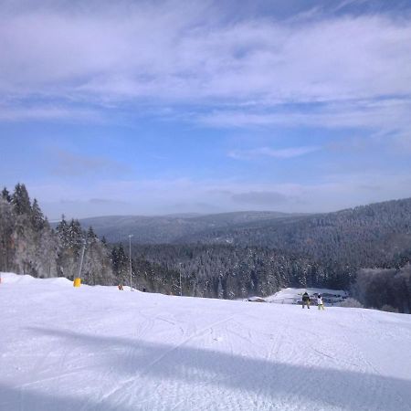 Apartment In Schnett Near The Ski Area מראה חיצוני תמונה