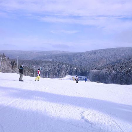 Apartment In Schnett Near The Ski Area מראה חיצוני תמונה
