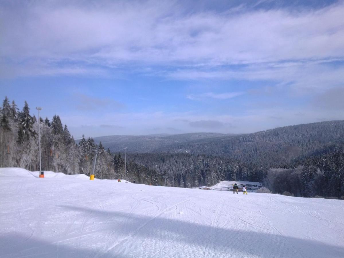 Apartment In Schnett Near The Ski Area מראה חיצוני תמונה