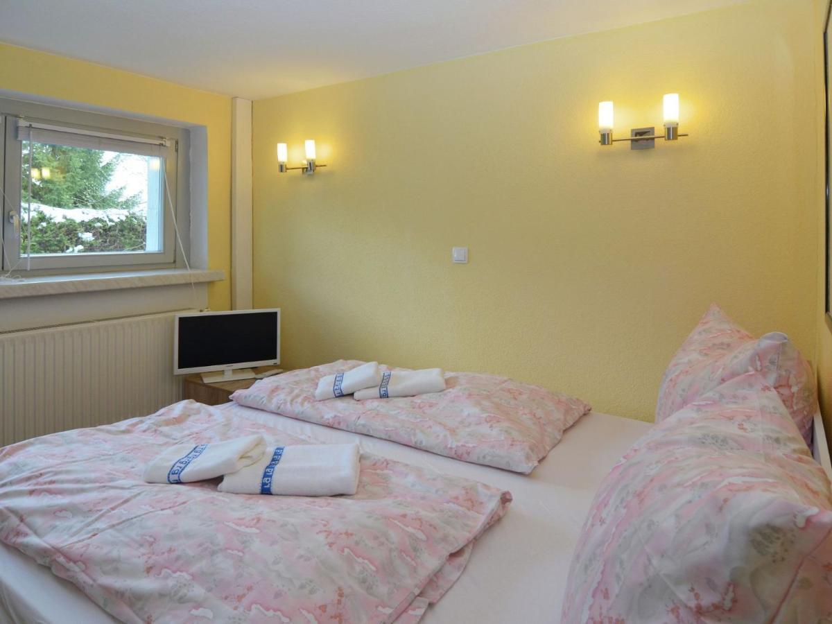 Apartment In Schnett Near The Ski Area מראה חיצוני תמונה